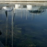 Abstract image of reflections in water ripples